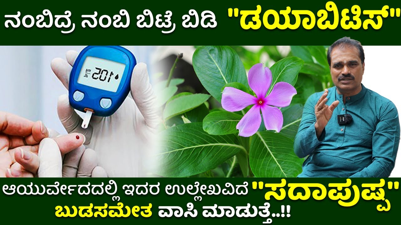 ನಂಬಿದ್ರೆ ನಂಬಿ ಬಿಟ್ರೆ ಬಿಡಿ.! "ಡಯಾಬಿಟಿಸ್" ಬುಡಸಮೇತ ವಾಸಿ ಮಾಡುತ್ತೆ ಈ "ಸದಾಪುಷ್ಪ" Nitya Kanagale | Diabetes