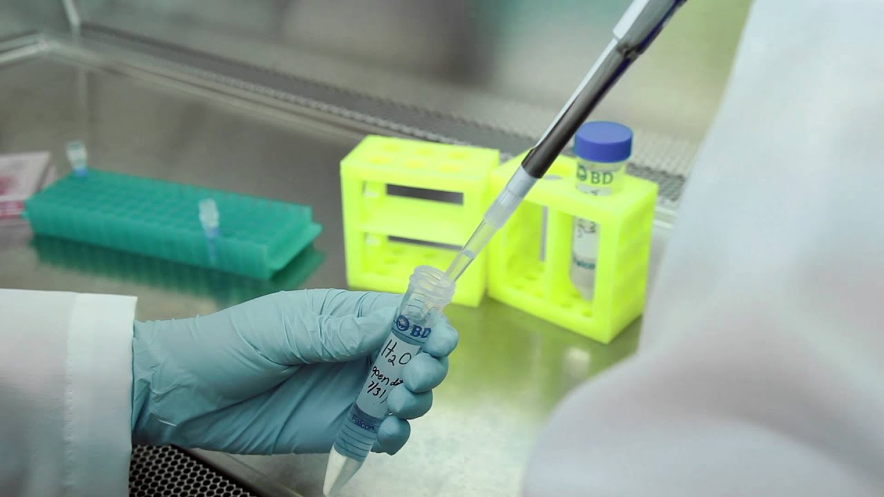 PureBlu&trade; Hoechst 33342 Nuclear Staining Dye for Live Cells - A Fast Approach to Staining Nuclei