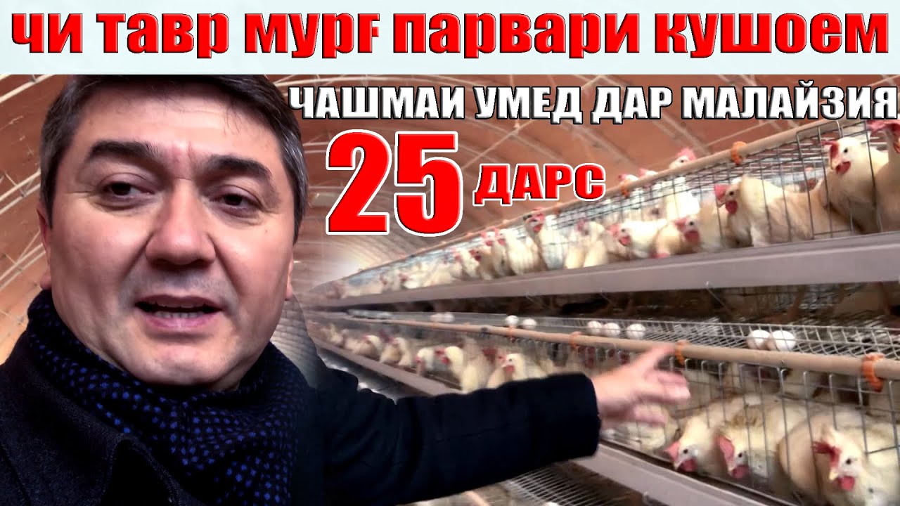 ЧАШМАИ УМЕД-25. Саидмурод Давлатов. Диловар Сафаров  Dfilm.tj Dilovar Safarov