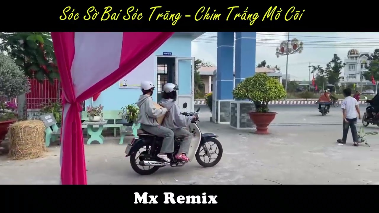 Sóc Sờ Bai Sóc Trăng - Chim Trắng Mồ Côi Remix Hot TikTok - Lk Nhạc Dân Ca Miền Tây Remix TikTok