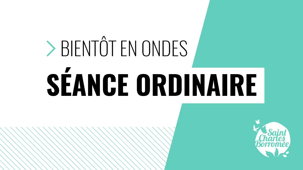 Séance du conseil municipal en webdiffusion - Lundi 12 janvier 2026