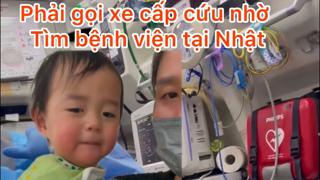 KoA bị đau.. cả nhà khóc nghẹn vì không tìm được bệnh viện tiếp nhận#kokoaki
