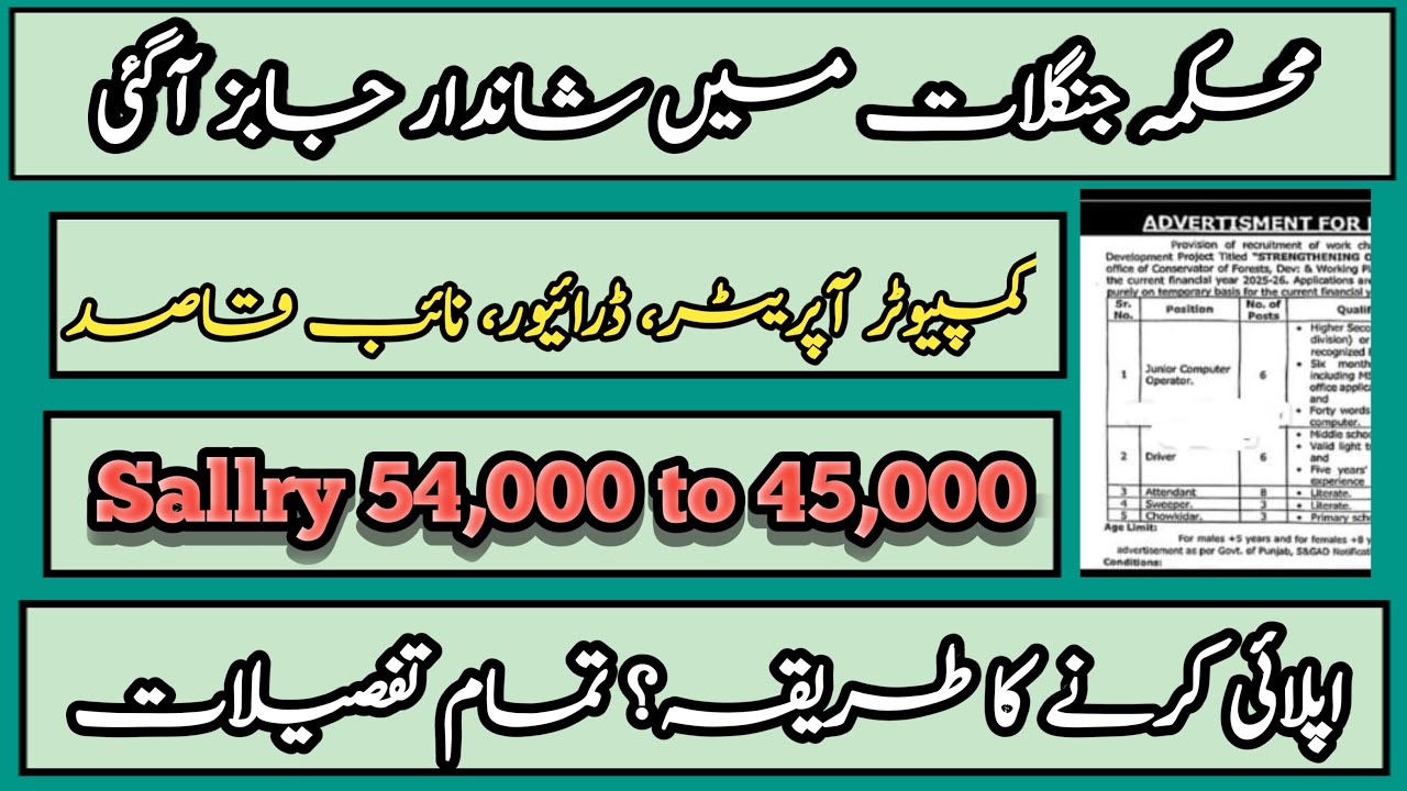 Forest Department Lahore Jobs 2025 | Latest Govt Jobs in Punjab | Apply Online Before 7 Nov 2025