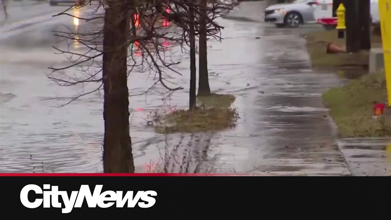 Сильные дожди затопили дороги в некоторых районах Торонто.