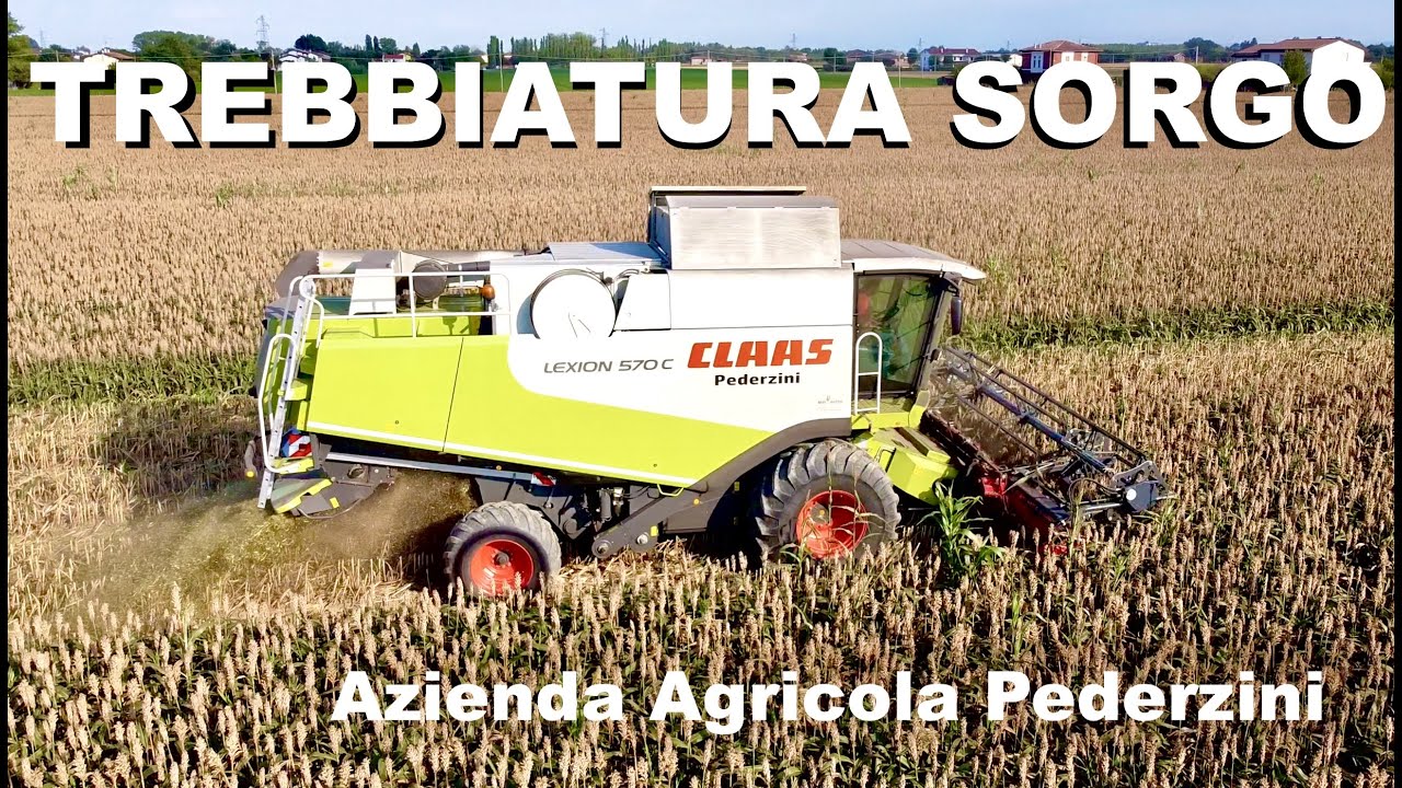 TREBBIATURA SORGO | Claas Lexion 570C & Laverda L521