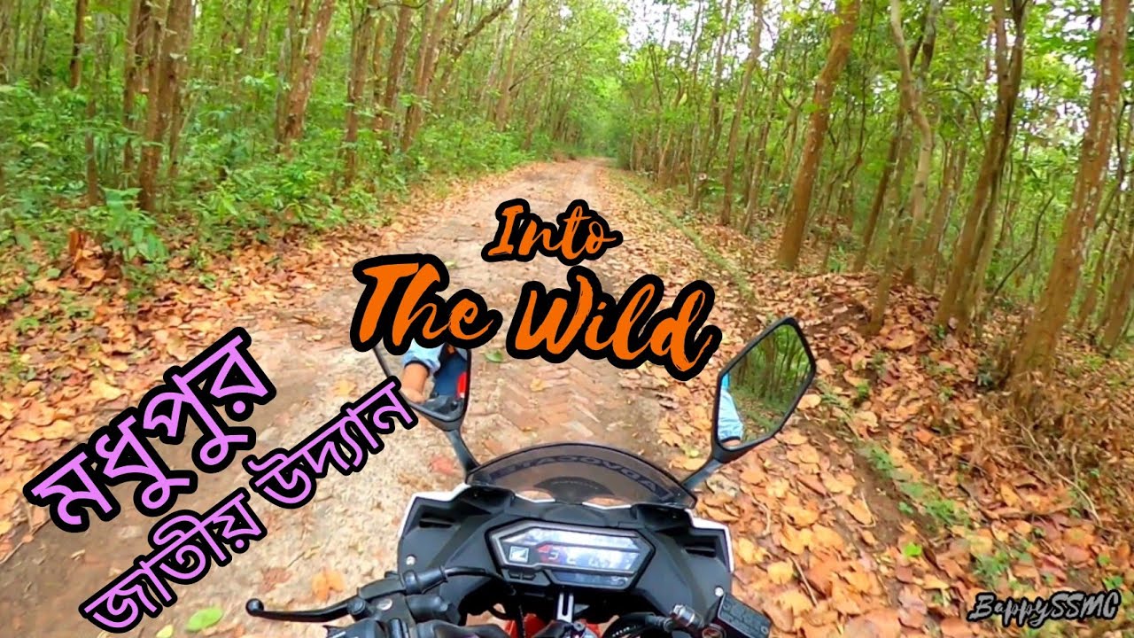 Madhupur National Park Tangail মধুপুর জাতীয় উদ্যান,  টাংগাইল Travel Moto Vlog Beautiful  Bangladesh