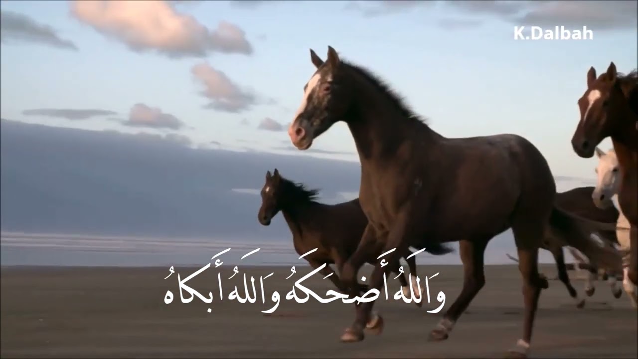 الدهر ذو دول والموت ذو علل I ابو العتاهية I بصوت خالد دلبح