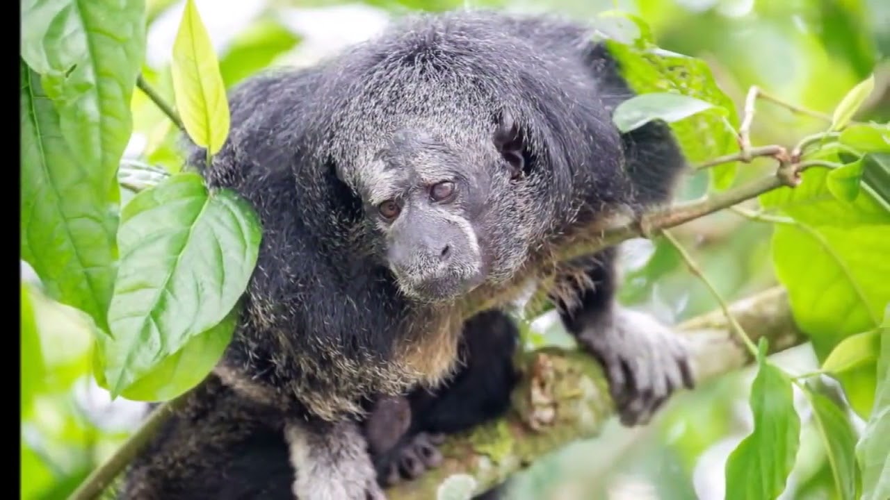 LOS 10 LUGARES QUE DEBES VISITAR EN EL PERÚ