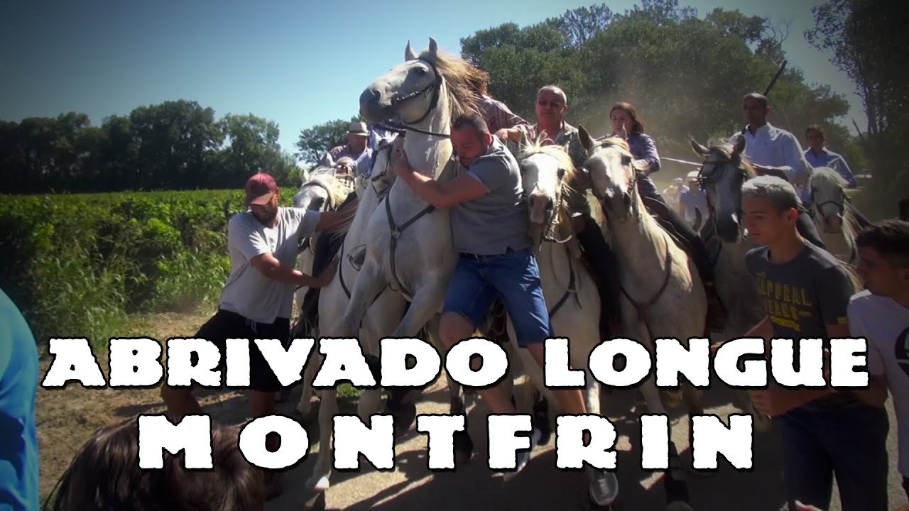 MONTFRIN Abrivado Longue 04-08-2020 🐴
