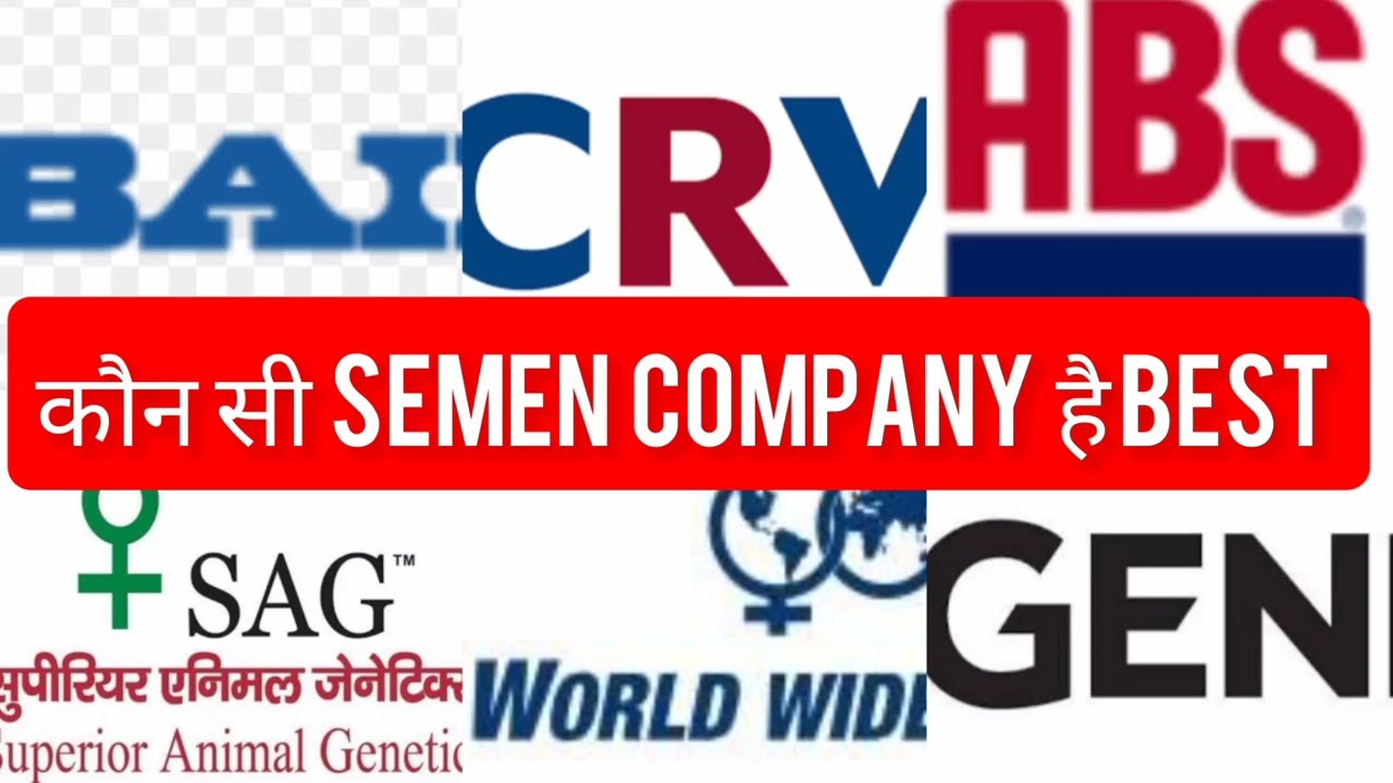 WHICH SEMEN COMPANY IS BEST🐄ABS || SAG|| WWS || BAIF ||CRV🐄FULL DETAILS🐄#mannfarms