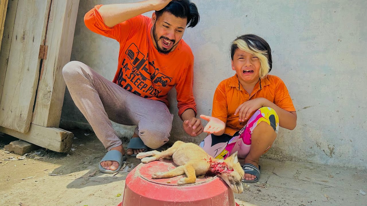 Hamri coco mar gai 😭😭 || penther ny coco pr Attack kr k mar deya 🥺 ||