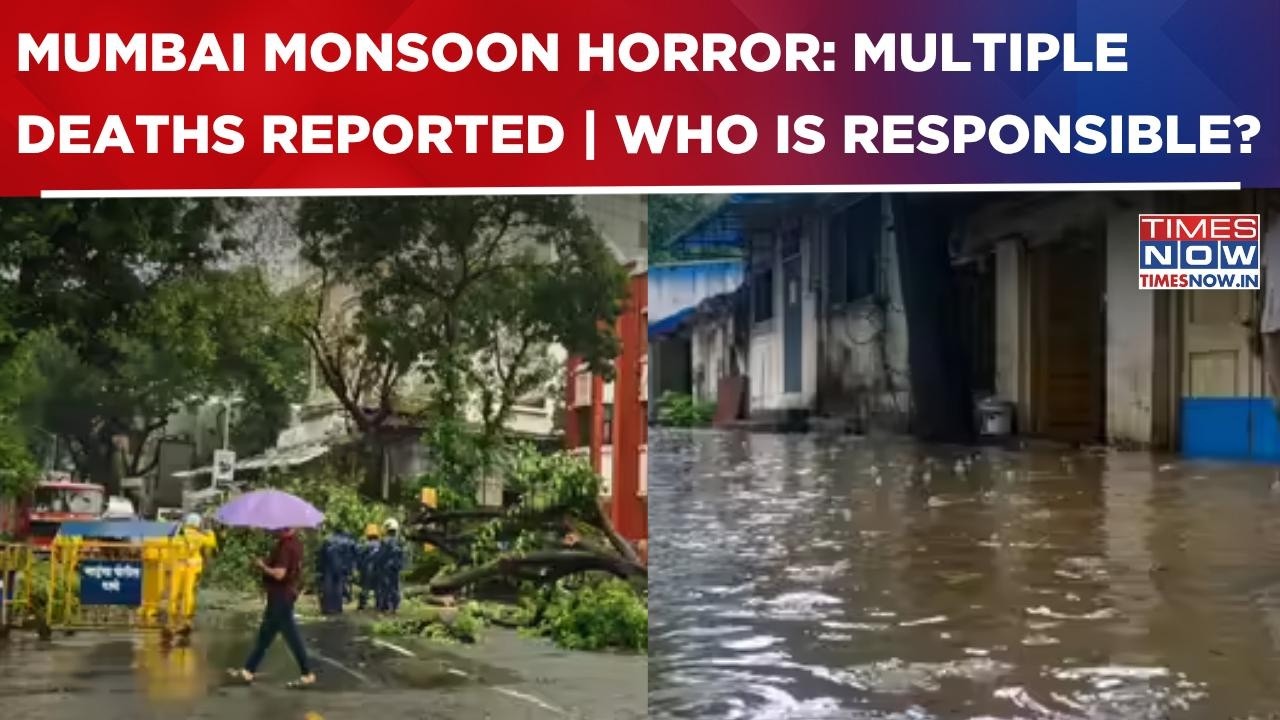 Mumbai Rain Horror: Multiple Lives Lost Due To Flooding, Open Drain & Electrocution; Schools Shut