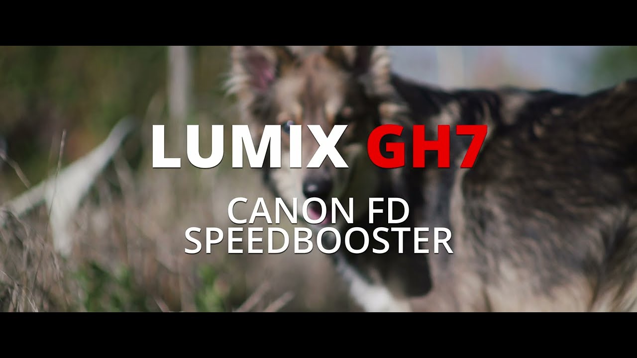 LUMIX GH7 -  CANON FD lenses with Metabones  Speedbooster
