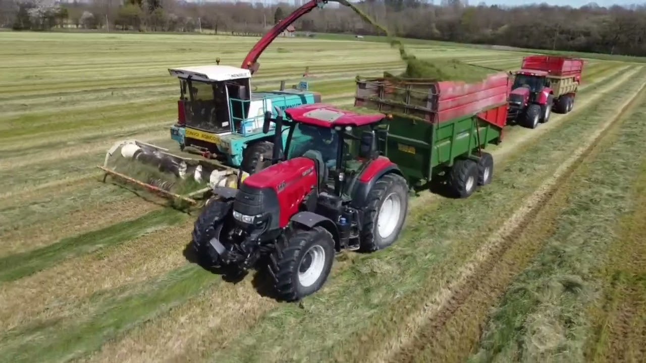 Ensilage Mengele