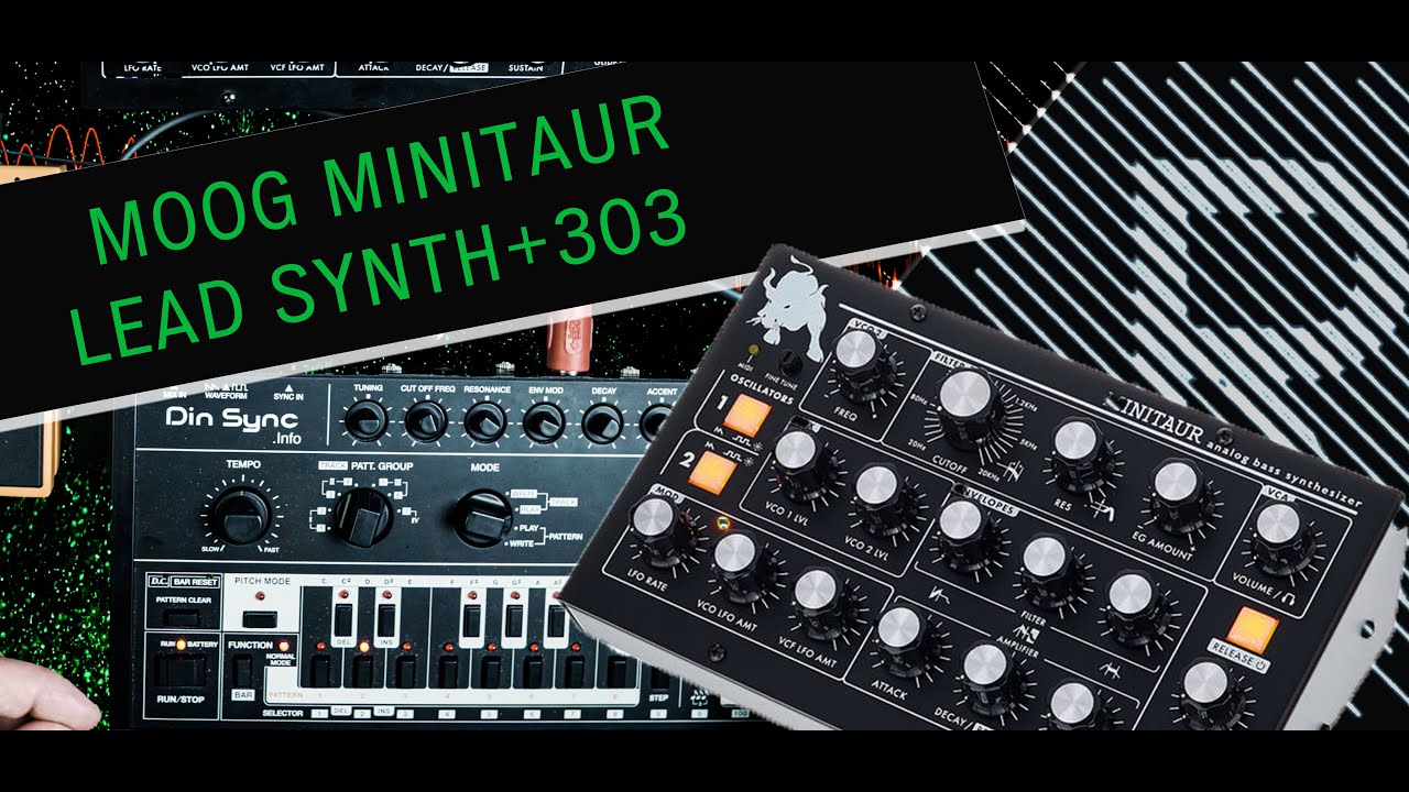 MOOG MINITAUR LEAD SYNTH + 303 | riemannkollektion.com