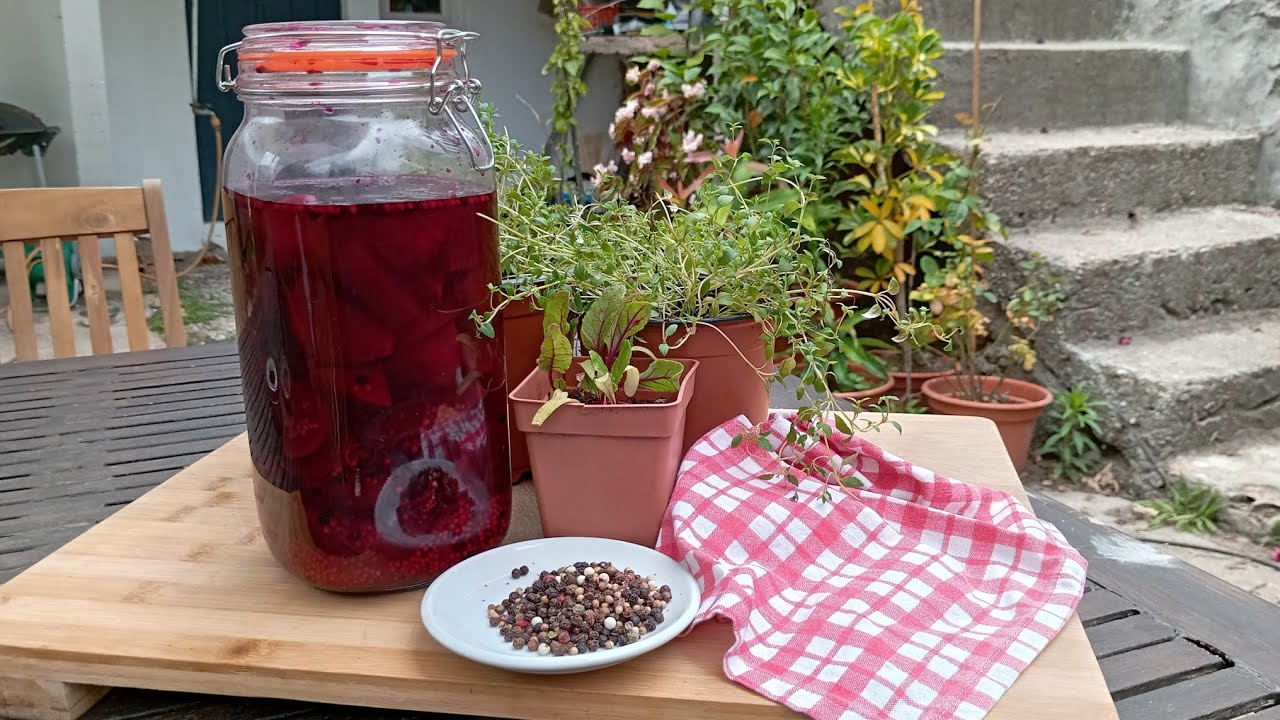 My beetroots are ready to be pickled! Gardening, harvesting and preserving in Central Portugal.