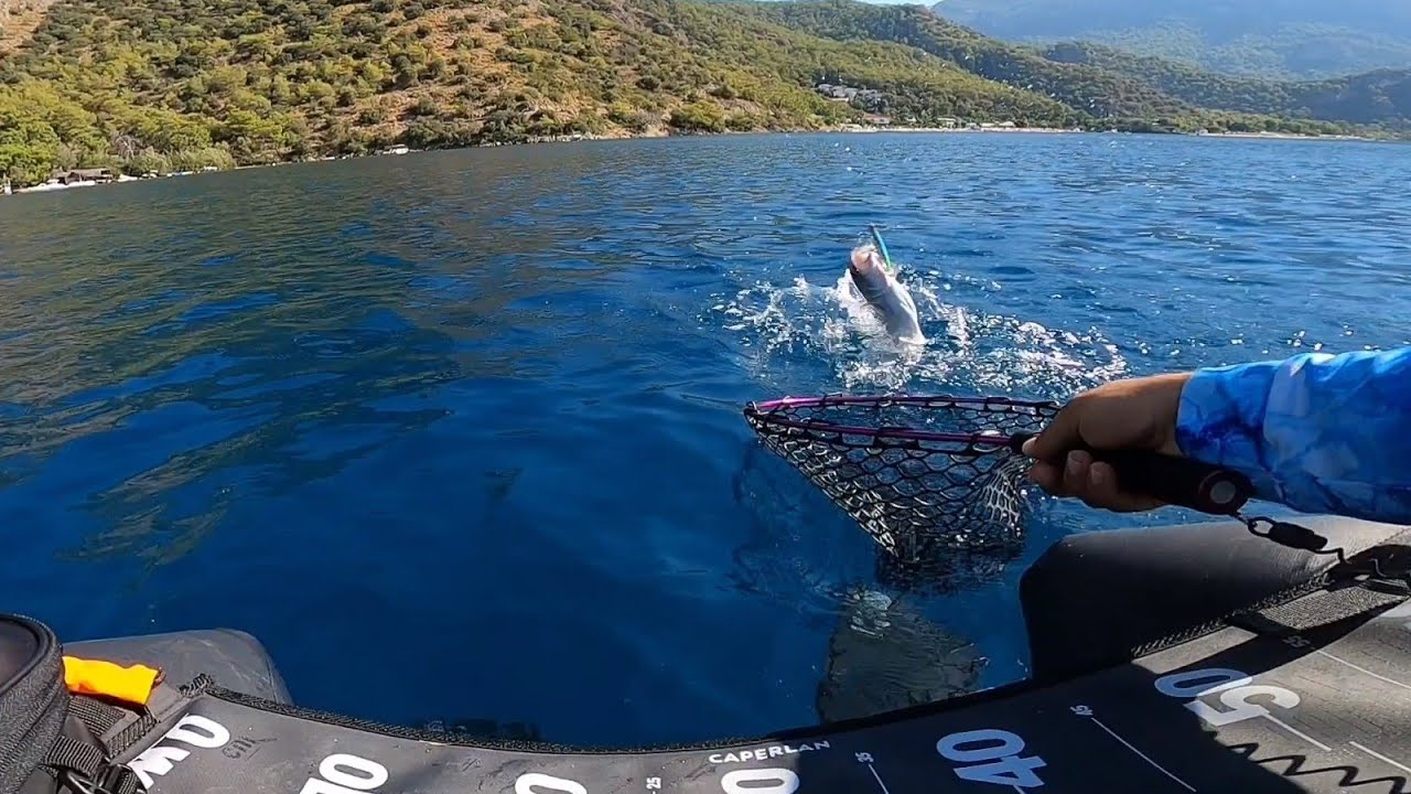 BU BOT MÜTHİŞ.CENNET gibi koyda bir sürü balik tuttum.( amberjack, seriola dumerili)