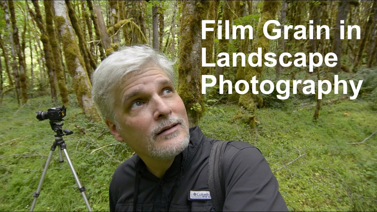 Film Grain in Landscape Photography