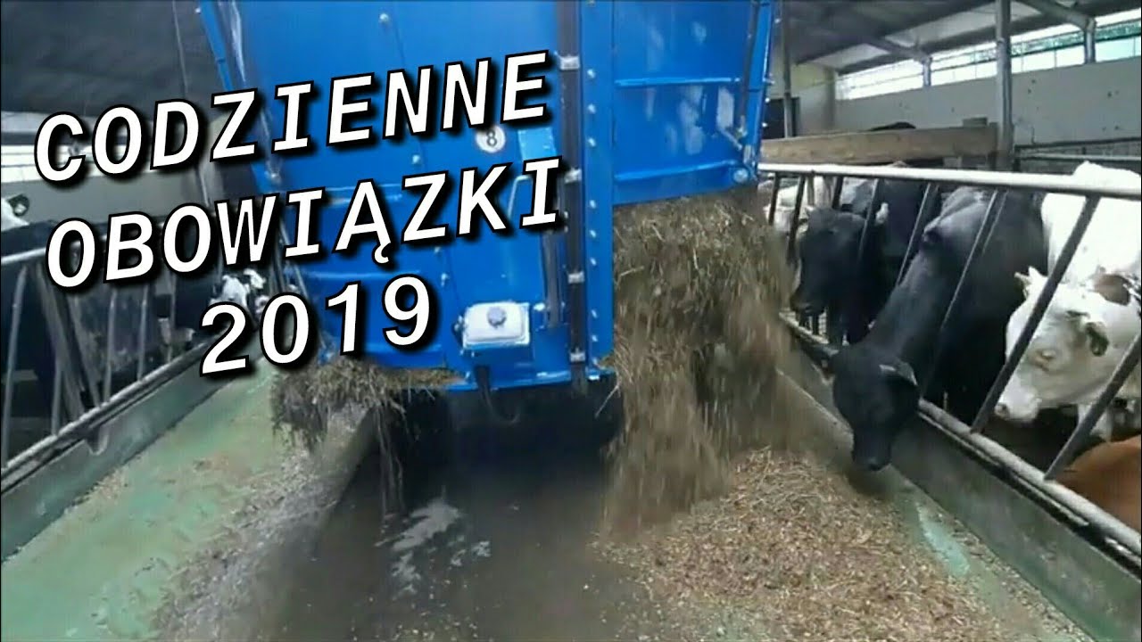Codzienne Obowiązki 2019!|FARMTRAC 675 DT|WEIDEMANN 3070 CX80|EUROMILK FXXS1200