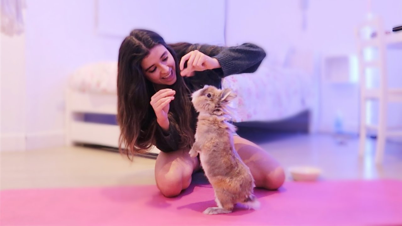 ENTRENANDO A MI CONEJO