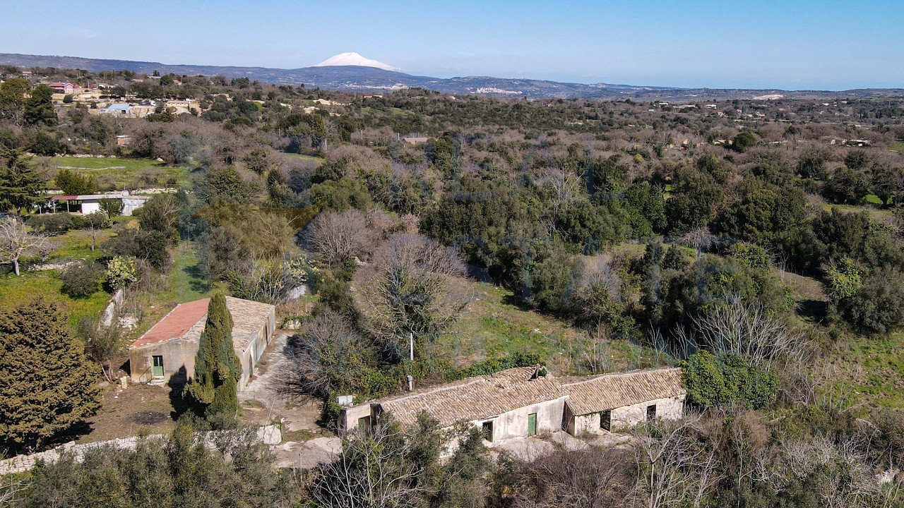 Guardiane del Bosco | HSH 2404 | Rural Buildings to Restore in Noto Area with Ancient Oaks