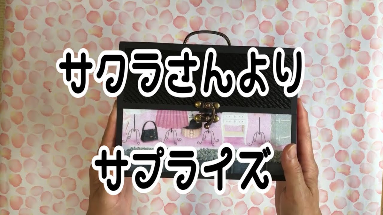 サプライズ便 (サクラ様）