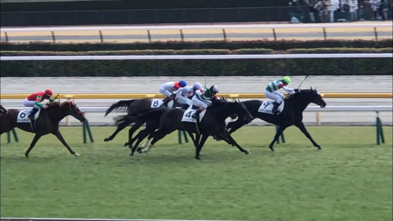 【現地】シャンソンドール C.ルメール 4歳上1勝C