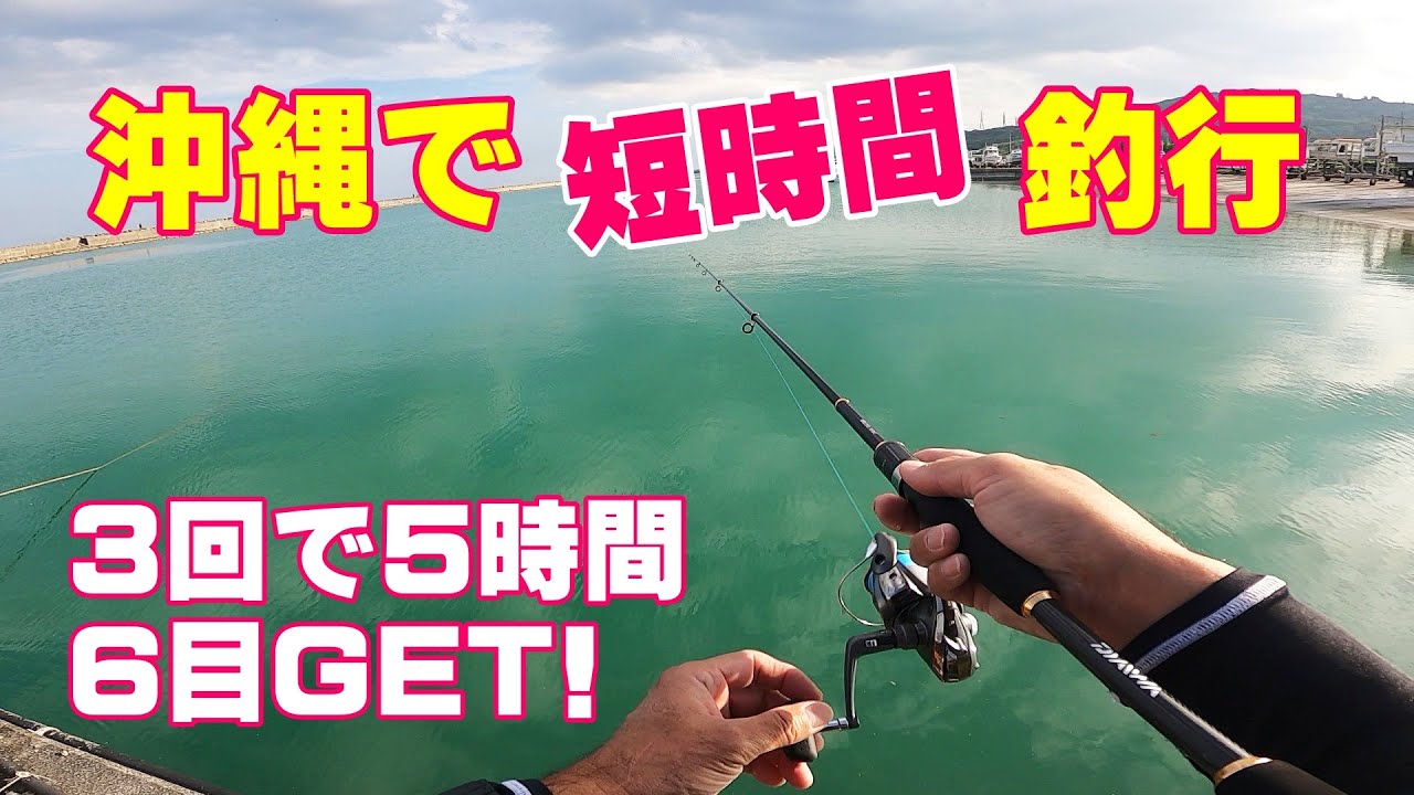 沖縄遠征中の短時間釣行の様子をご紹介します。平安座漁港と熱田漁港でちょい投げ、河口ポイントではヘチ釣りもやってみました。