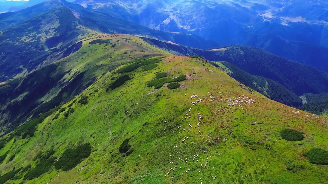 Rodnei Mountains - Pietrosu Peak  - Ambient Drone Hiking