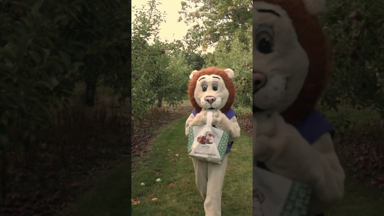 Ideal fall day? Apple orchard and a yap. 🍎🦁
