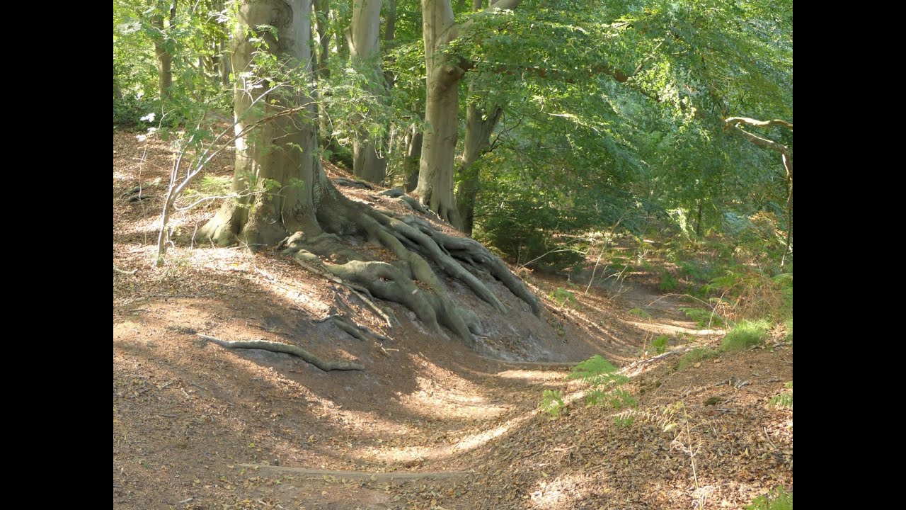 Rondwandeling 