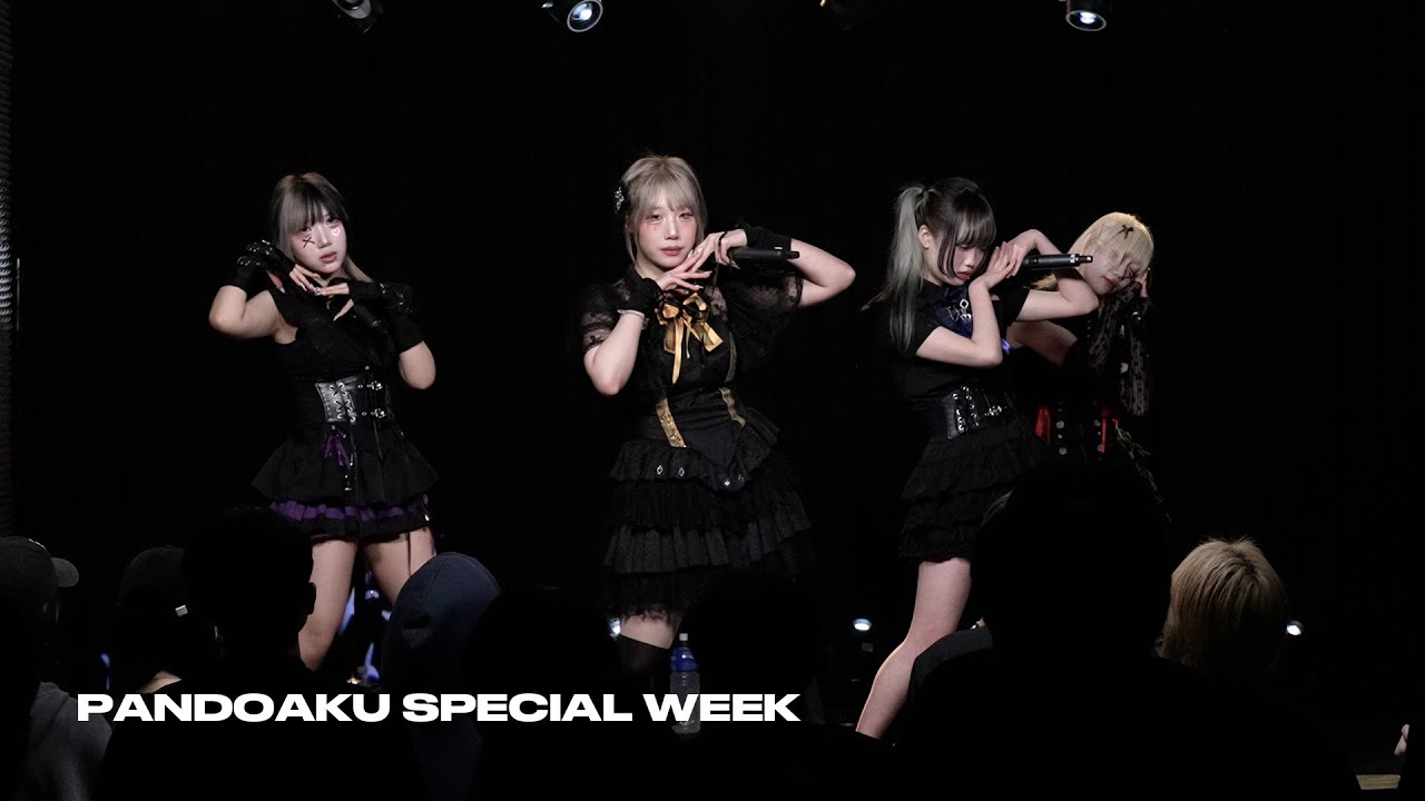 판도아쿠 260117 PANDOAKU SPECIAL WEEK 원맨 라이브