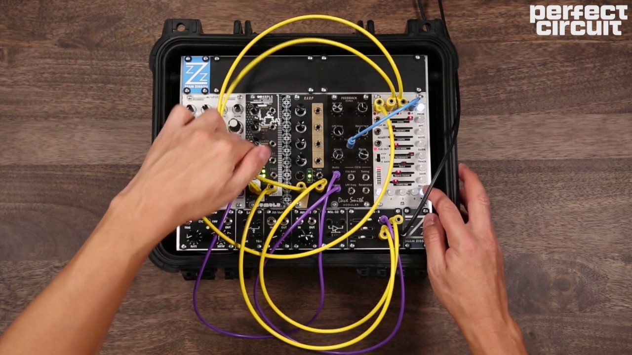 Meng Qi Karp And Detroit Underground DU-KRPLS Karplus Strong Modules
