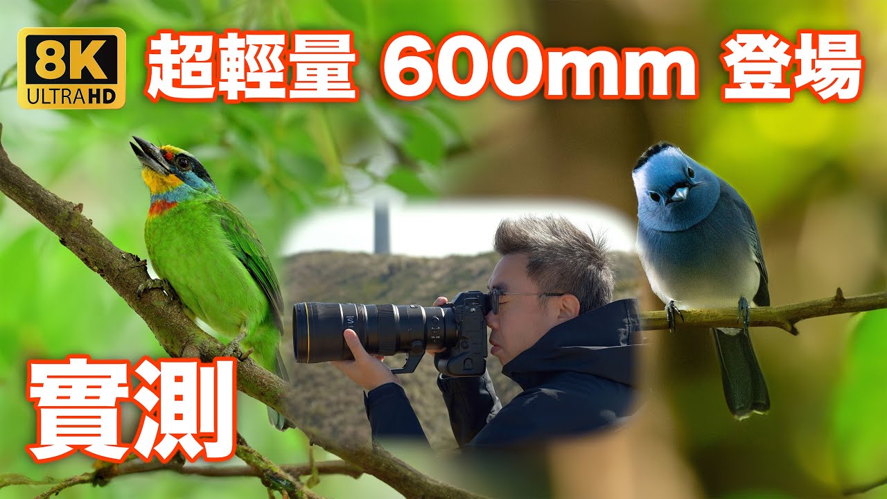 超輕量化大砲登場 NIKKOR Z 600mm f/6.3 VR S 實測 | 相機 | 鏡頭 | 台灣 | 生態 | Z9 4.1 firmware | 鳥攝