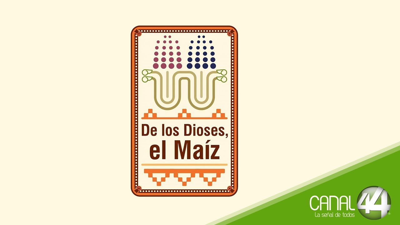 Maíz: expresión del alma