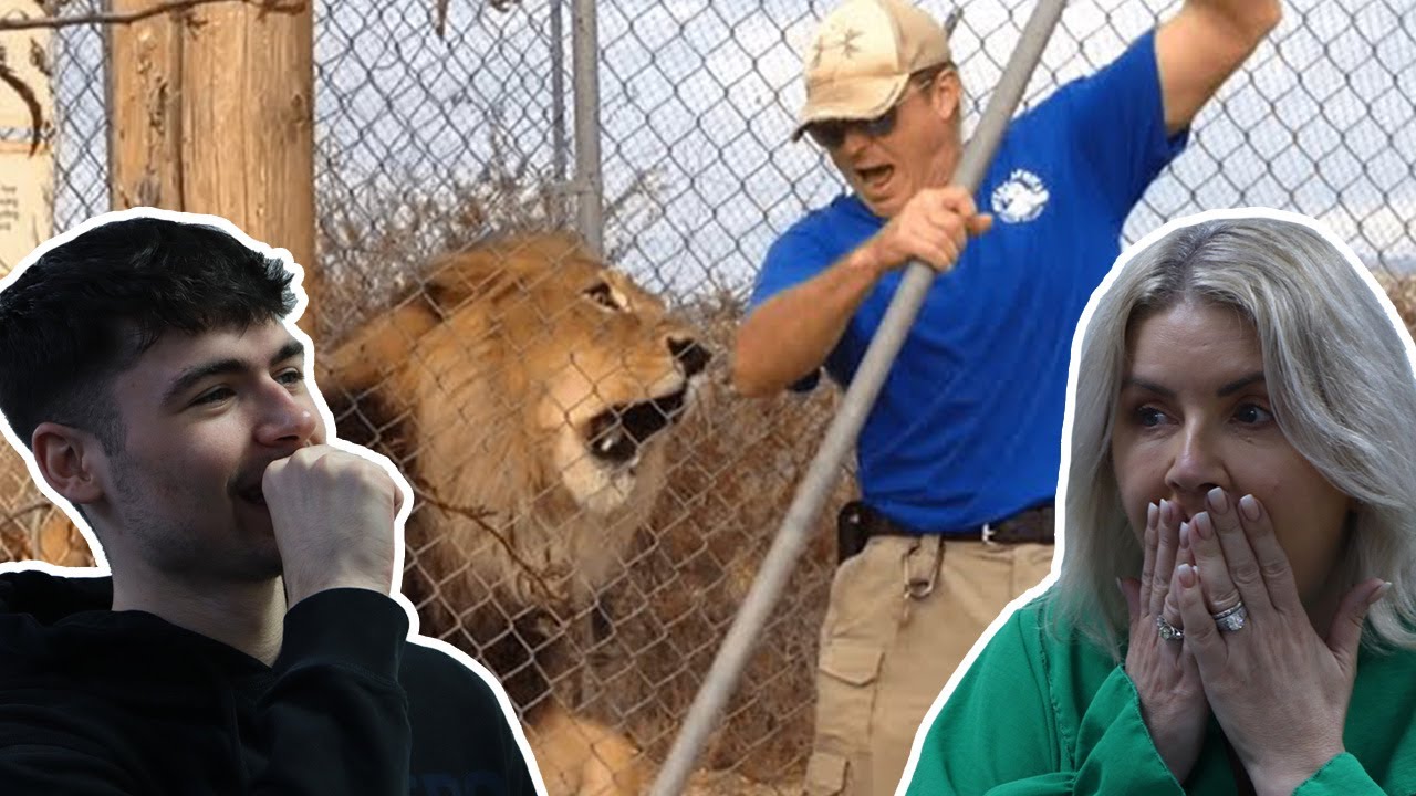British Family React! Damn Nature You Scary | Funny Scary Animal Encounters!
