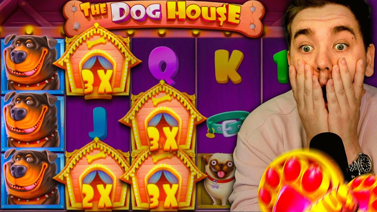 The Dog House Bonuses &ndash; Aiming for Max Win (0xbet casino)