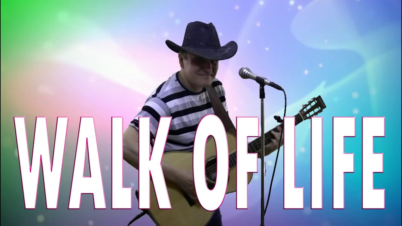 Dire Straits - Walk Of Life - #Fingerstyle #Guitar #Cover- Country Version - Enyedi Sándor