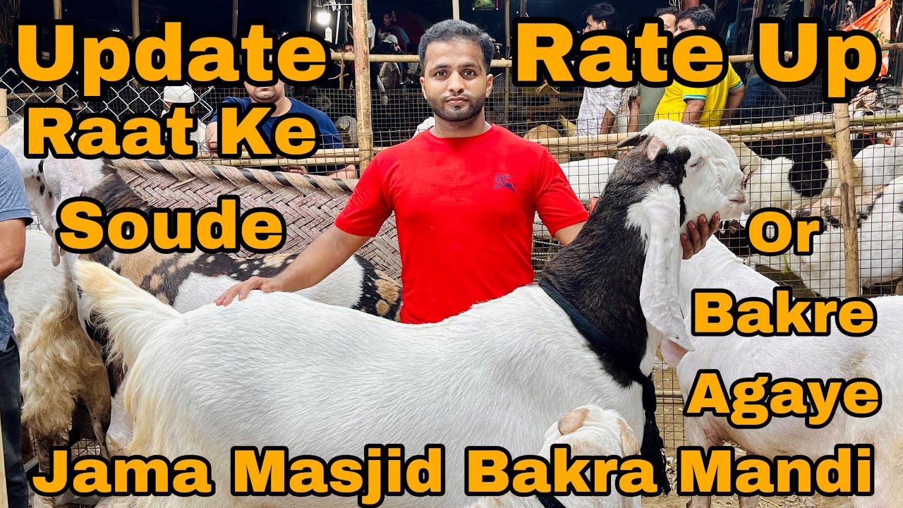 Jama masjid bakra mandi || Raat ke soude || or bakre agaye