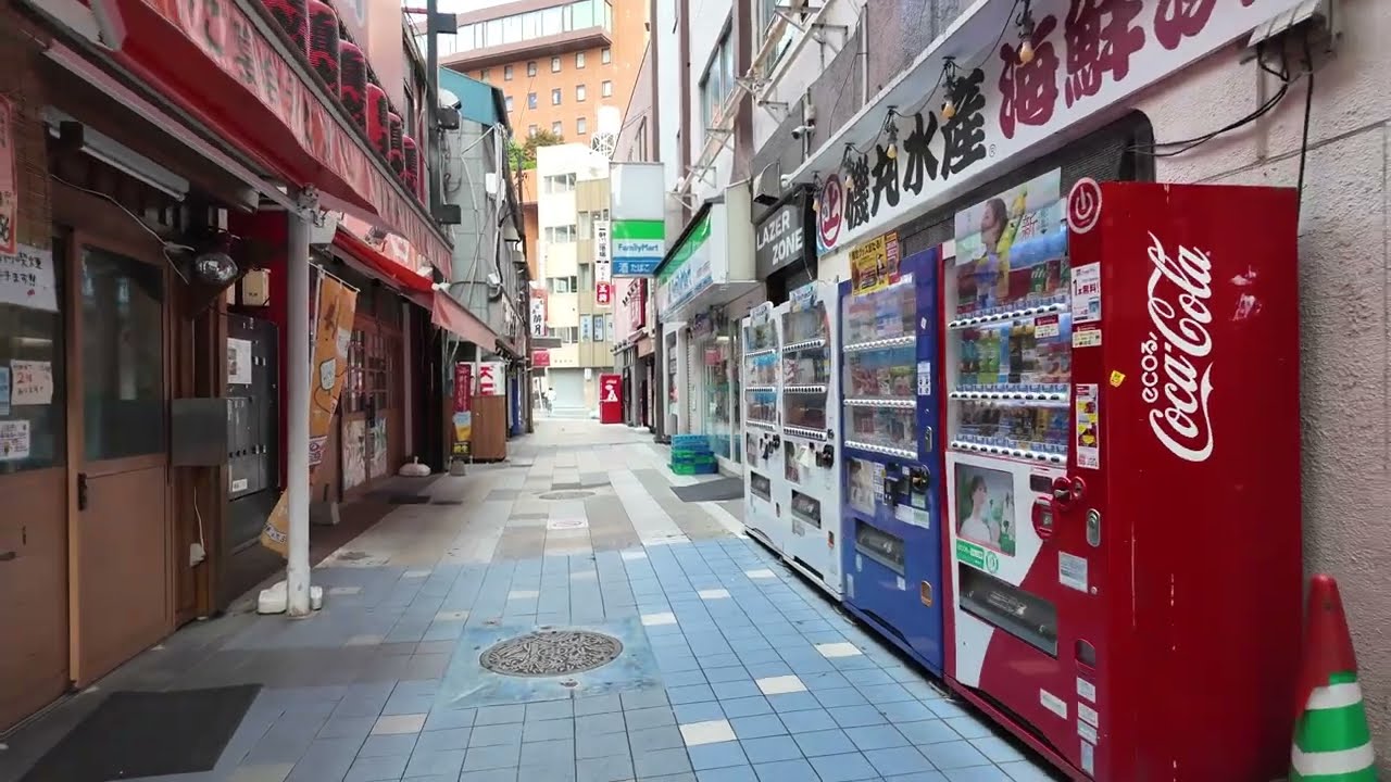 🇯🇵 Йокосука, Япония Центральная Йокосука – прогулка по парку Микаса