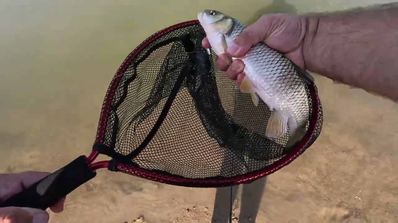 PESCUIT la CLEAN - Ultralight Spinning pe Jiu