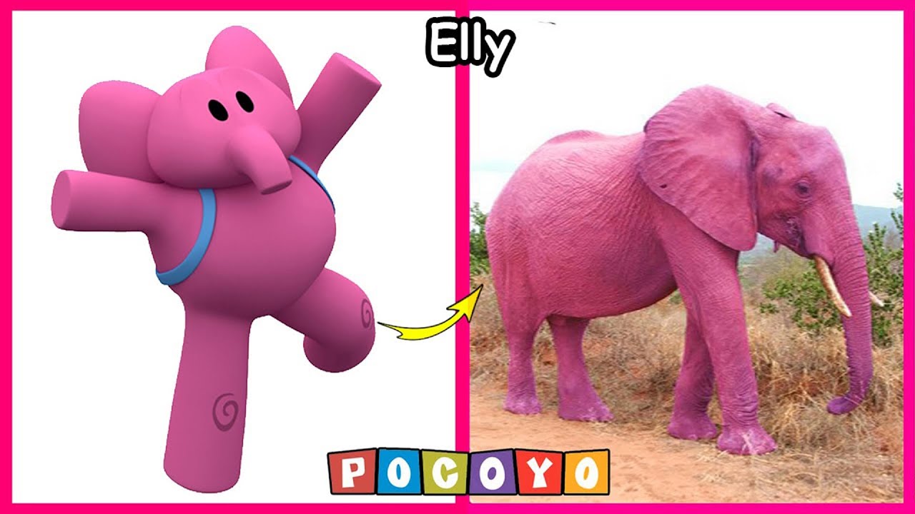 Pocoyó En La Vida Real 😱 Último 2024