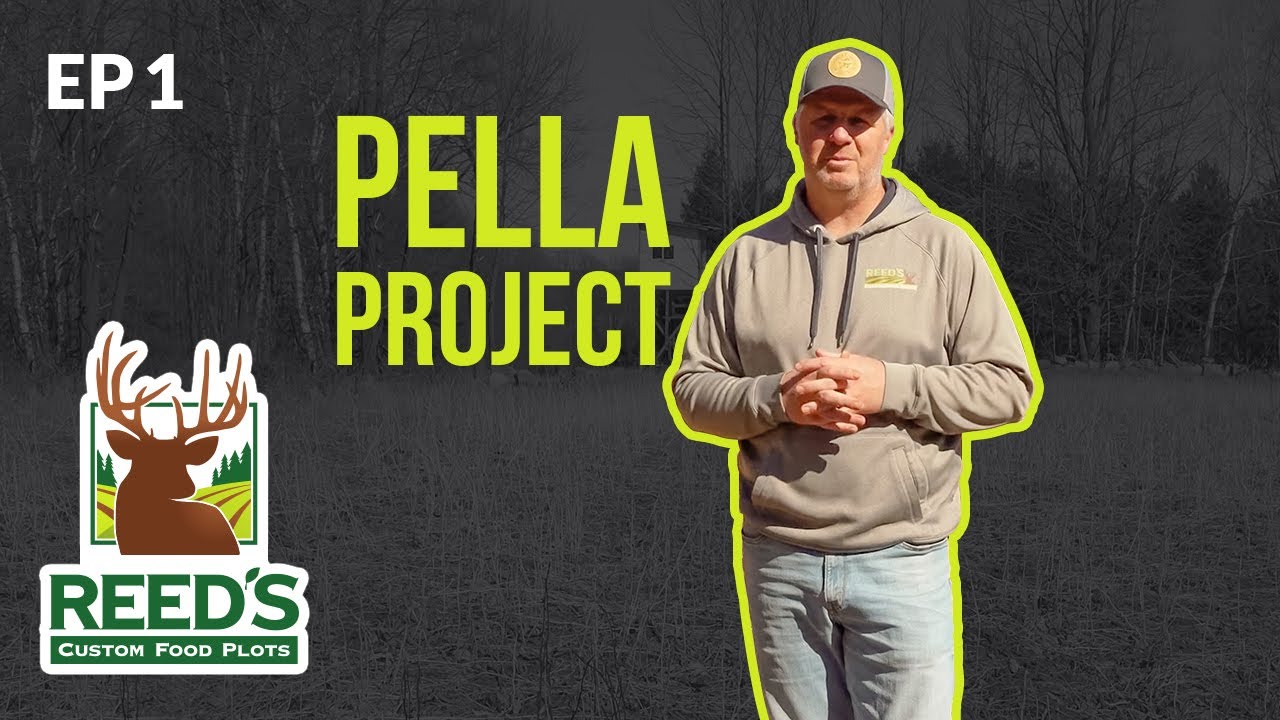 Pella Project - Introduction
