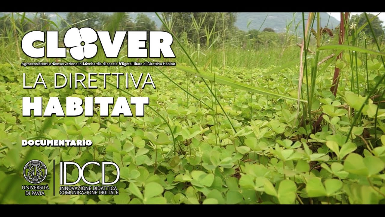Progetto CLOVER -  La Direttiva Habitat - Documentario di apertura (KIRO UNIPV)