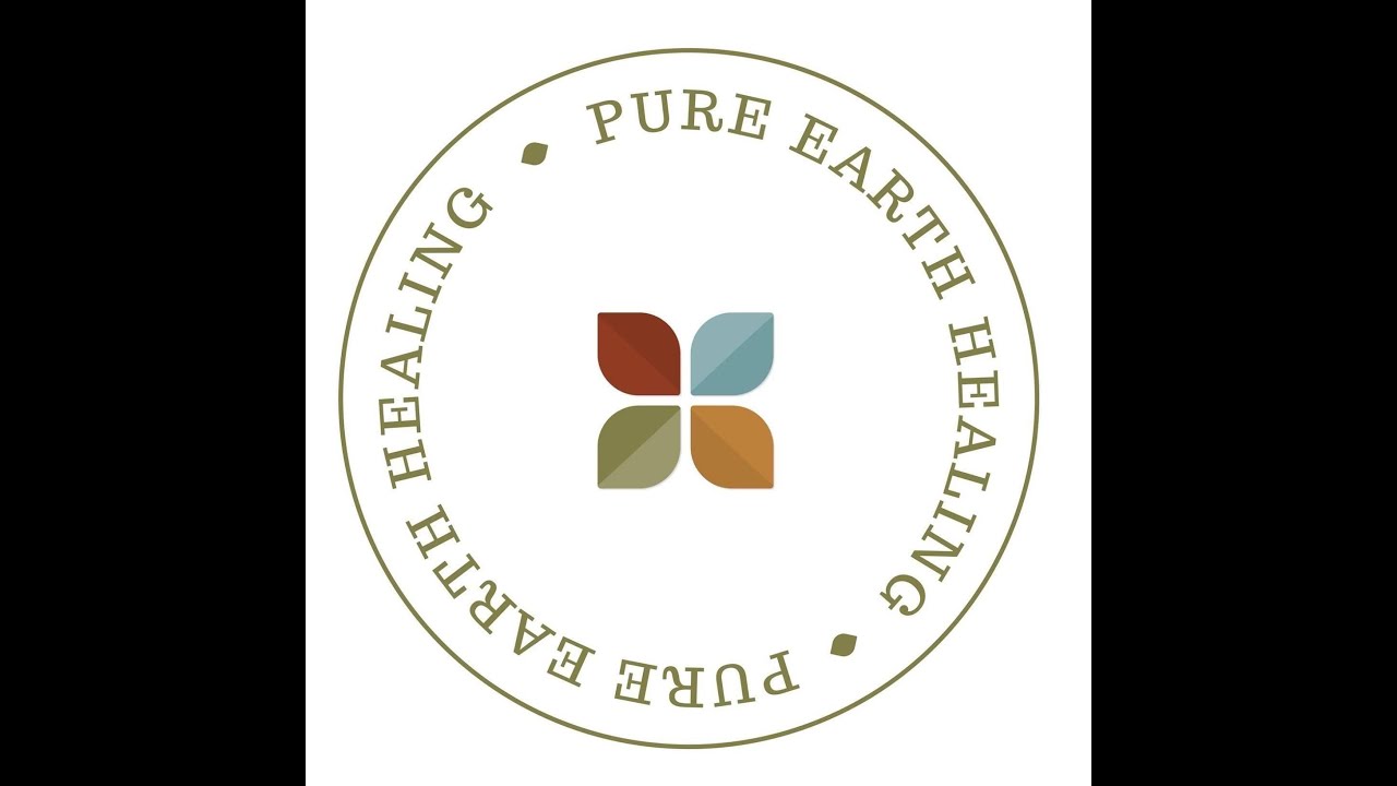 The Four Temperaments- Achieving Balance | Pari Ansary