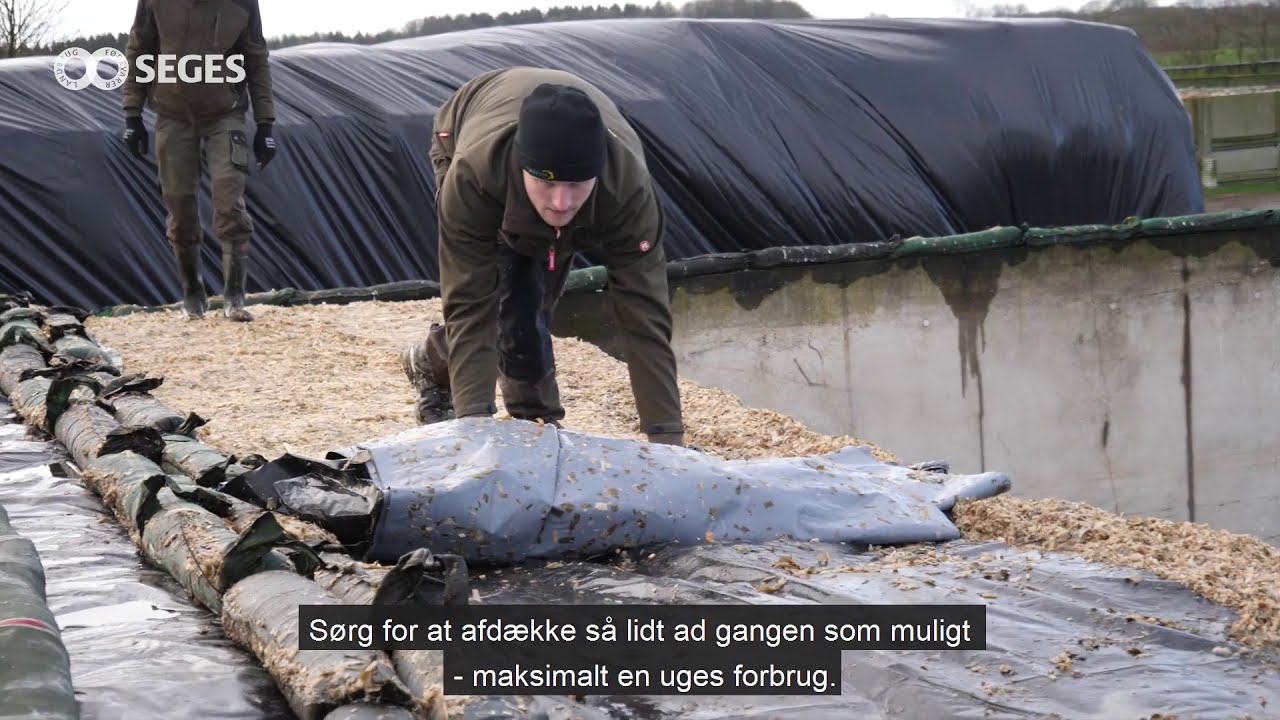 Afdæk og udtag ensilagen korrekt
