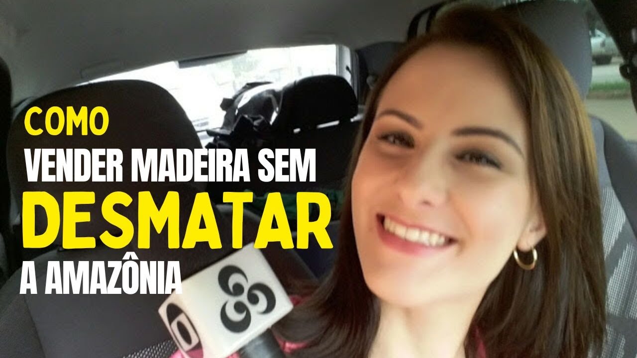 DÁ PRA EXPLORAR A MADEIRA SEM DESMATAR A FLORESTA?