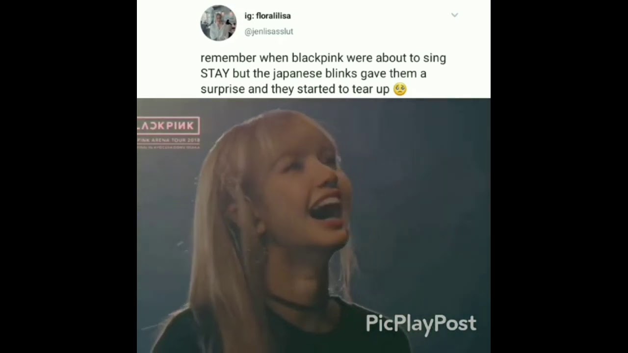 blackpink stan twitter memes | request