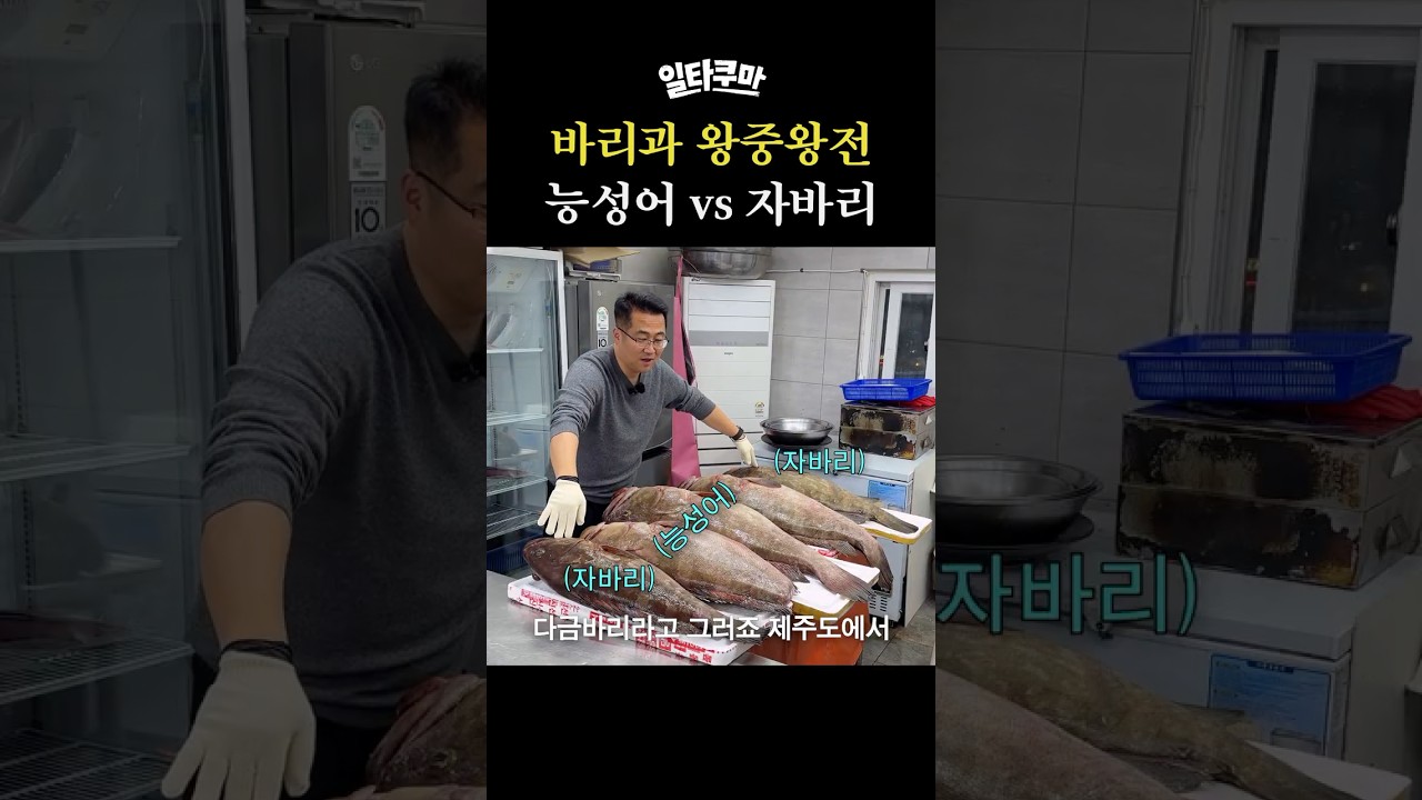 바리과 왕중왕전 능성어 vs 자바리 #일타쿠마 #먹방