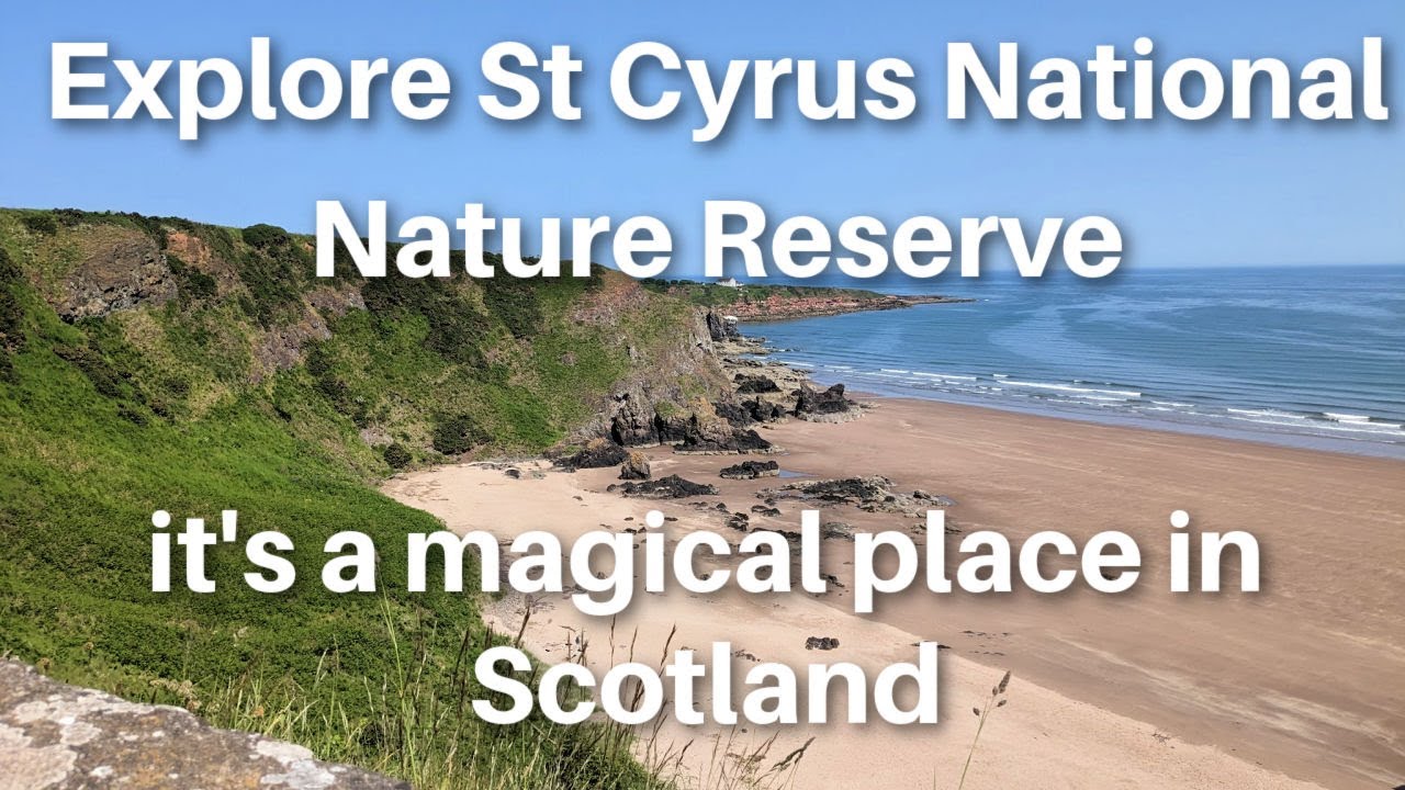 Explore St Cyrus National Nature Reserve - a magical place in Scotland.